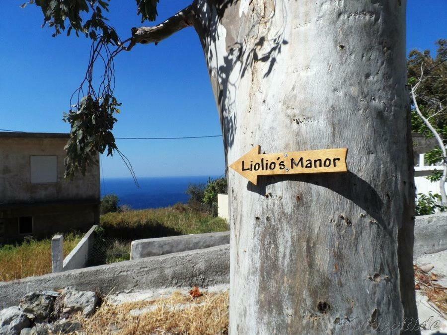 Holiday home Liolio's Manor *